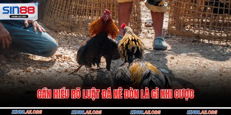 Cần hiểu rõ luật đá kê đòn là gì khi cược