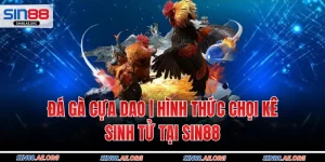 Đá Gà Cựa Dao | Hình Thức Chọi Kê Sinh Tử Tại SIN88