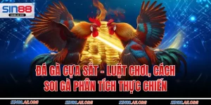 Đá Gà Cựa Sắt - Luật Chơi, Cách Soi Gà Phân Tích Thực Chiến