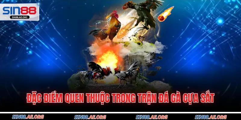 Đặc điểm quen thuộc trong trận đá gà cựa sắt