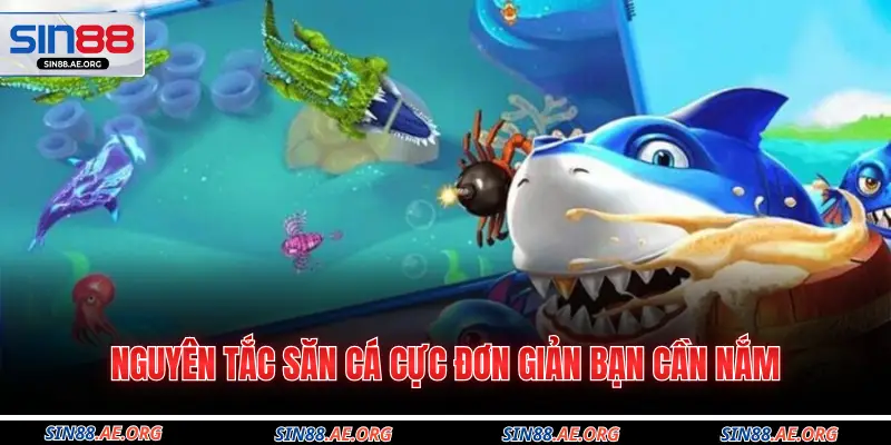 Nguyên tắc săn cá cực đơn giản bạn cần nắm