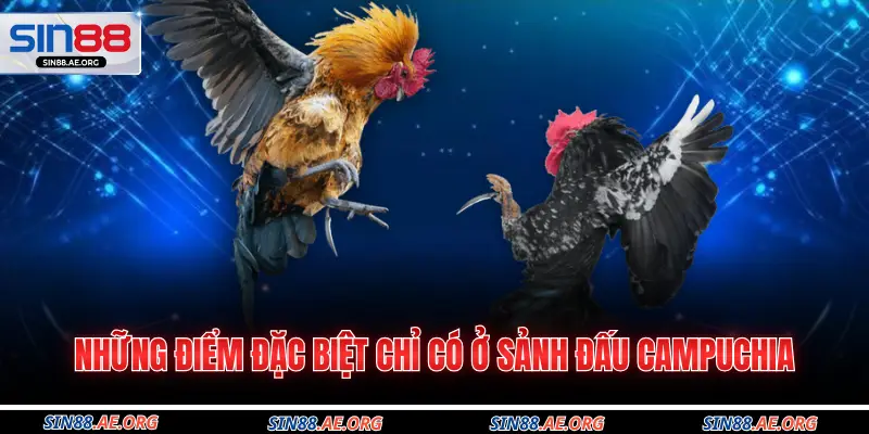 Những điểm đặc biệt chỉ có ở sảnh đấu Campuchia