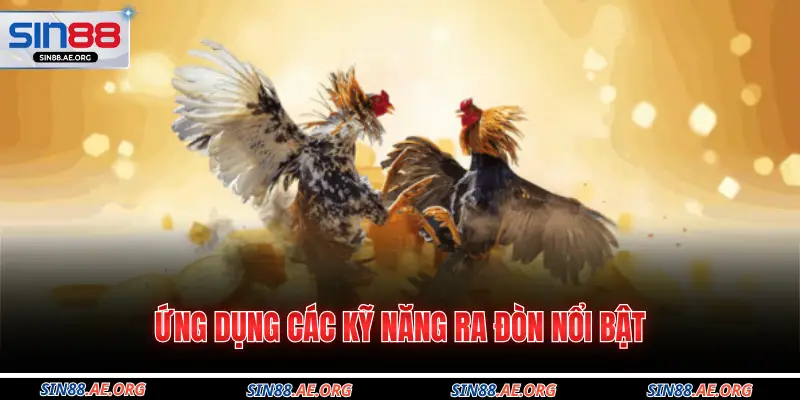 Ứng dụng các kỹ năng ra đòn nổi bật